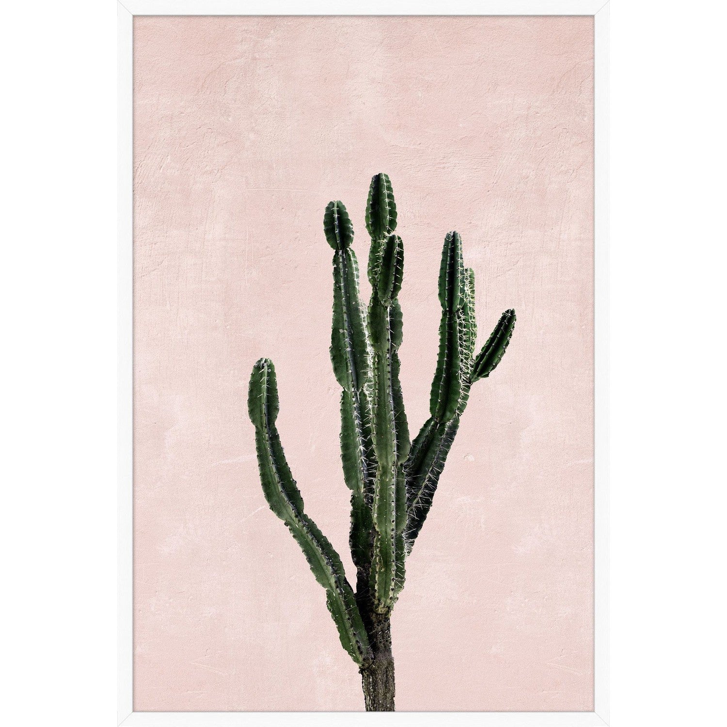 Pink Cacti 2-Wendover-WEND-WTUR0125-Wall Art-1-France and Son