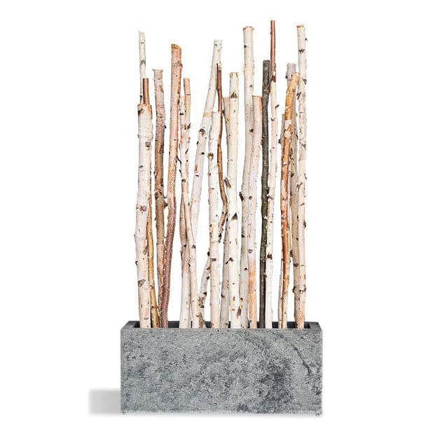 Birch Poles In Custom Rectangle Planter-Gold Leaf Design Group-GOLDL-HY8216-PlantersNatural-5-France and Son