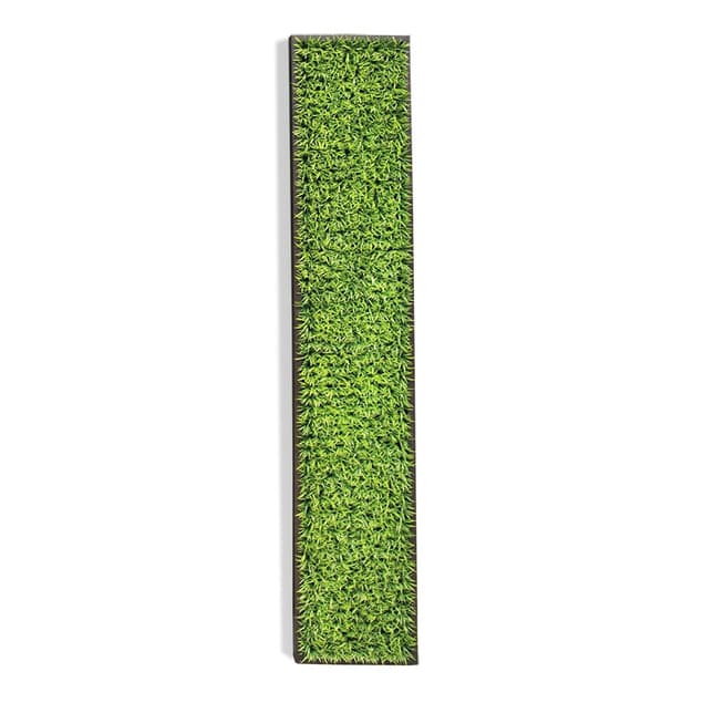 Green Wall Curly Grass-Gold Leaf Design Group-GOLDL-HY8237-Wall Decor-1-France and Son